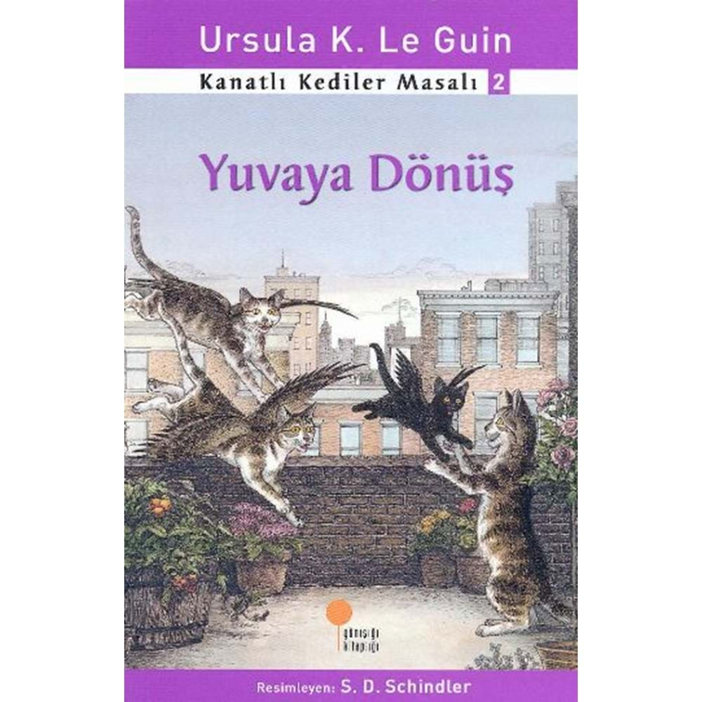 Kanatlı Kediler Masalı 2 Yuvaya Dönüş