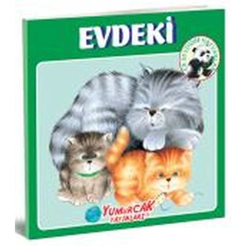 Evdeki En Sevdiğim Hayvanlar