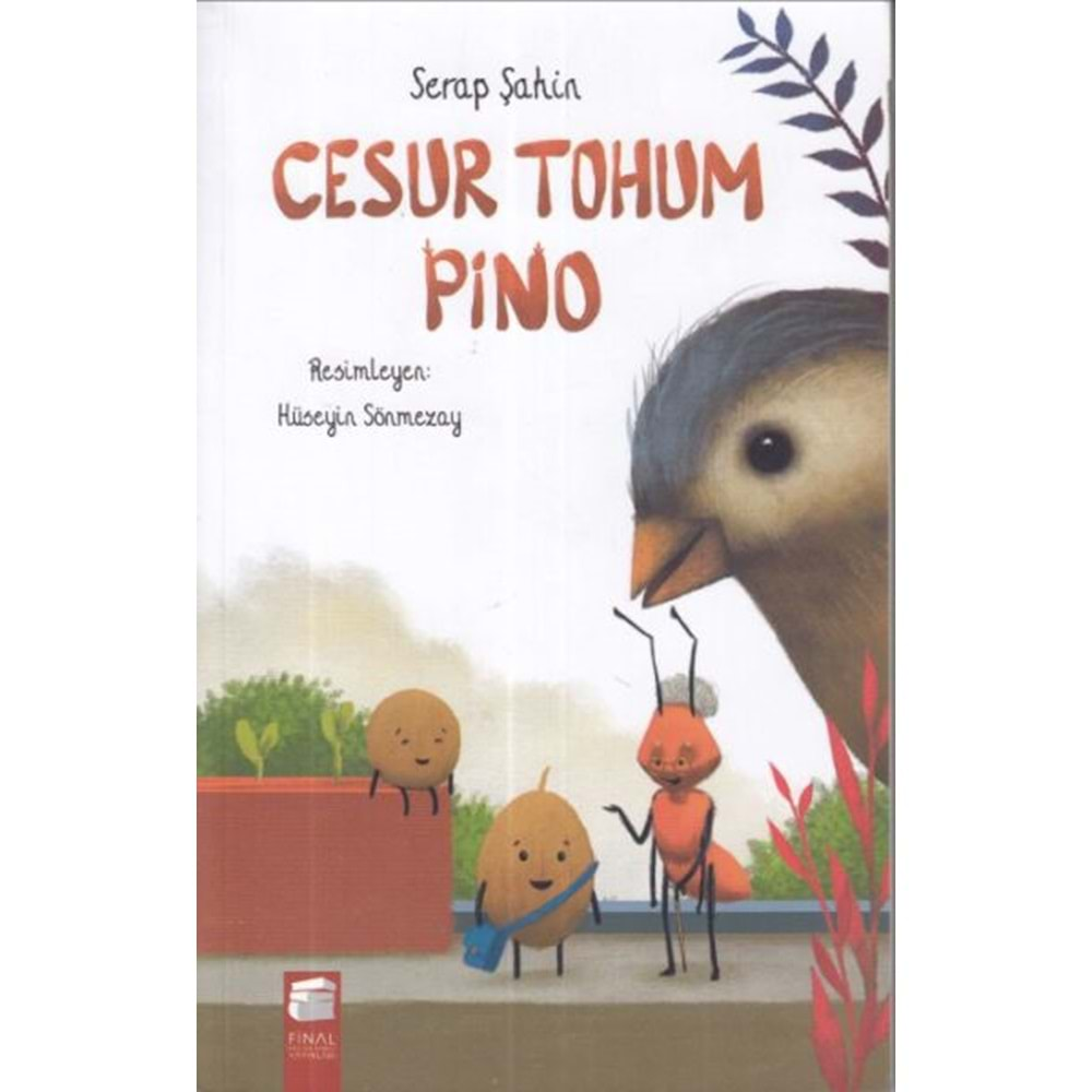 Cesur Tohum Pino