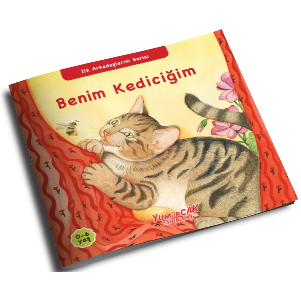 Benim Kediciğim - İlk Arkadaşlarım Serisi