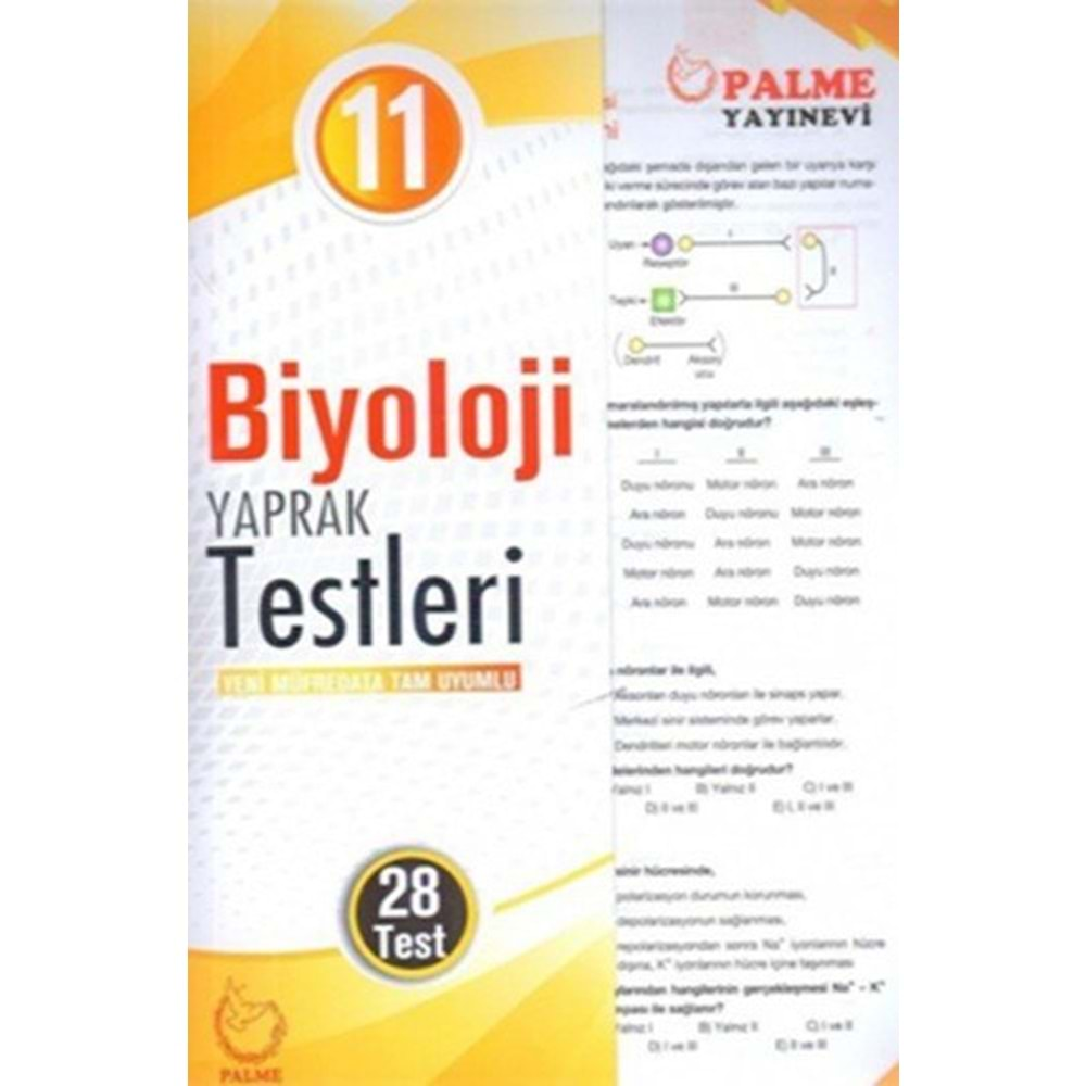 Palme 11. Sınıf Biyoloji YaprakTest (Yeni)