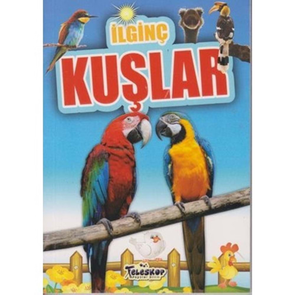 İlginç Bilgiler Serisi İlginç Kuşlar